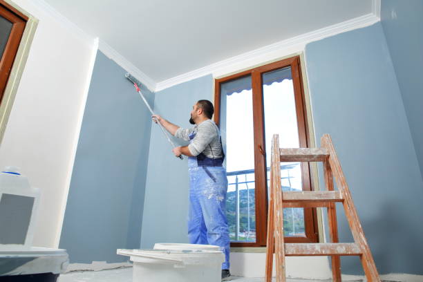 Best Basement Mold Removal  in Inniswold, LA