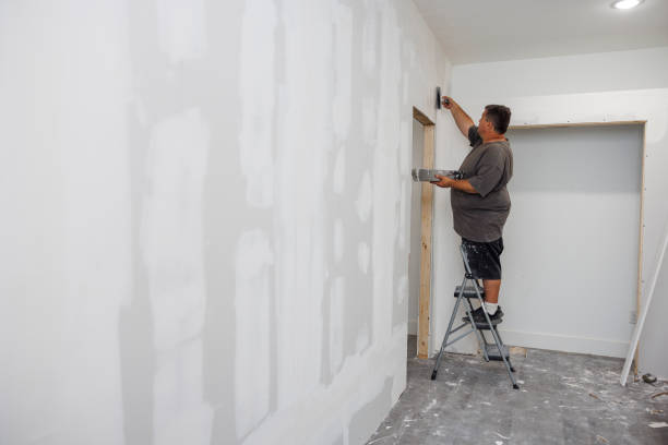 Best Industrial Mold Remediation  in Inniswold, LA