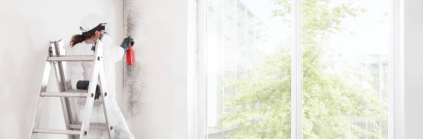  Inniswold, LA Mold Removal Pros