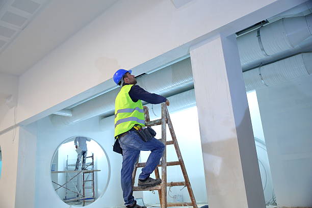 Mold Documentation for Insurance Claims in Inniswold, LA