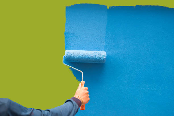 Reliable Inniswold, LA Mold Removal Solutions